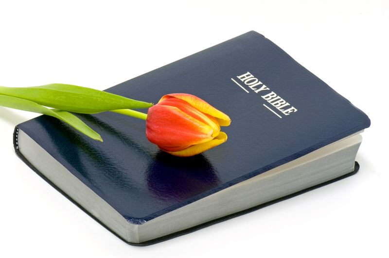 Lesson image