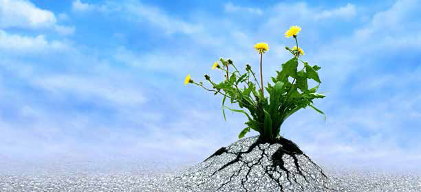Lesson image