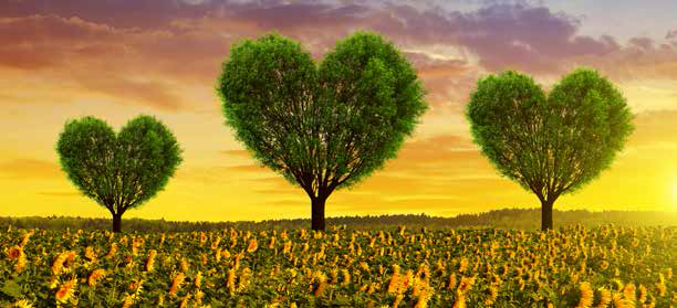 Lesson image